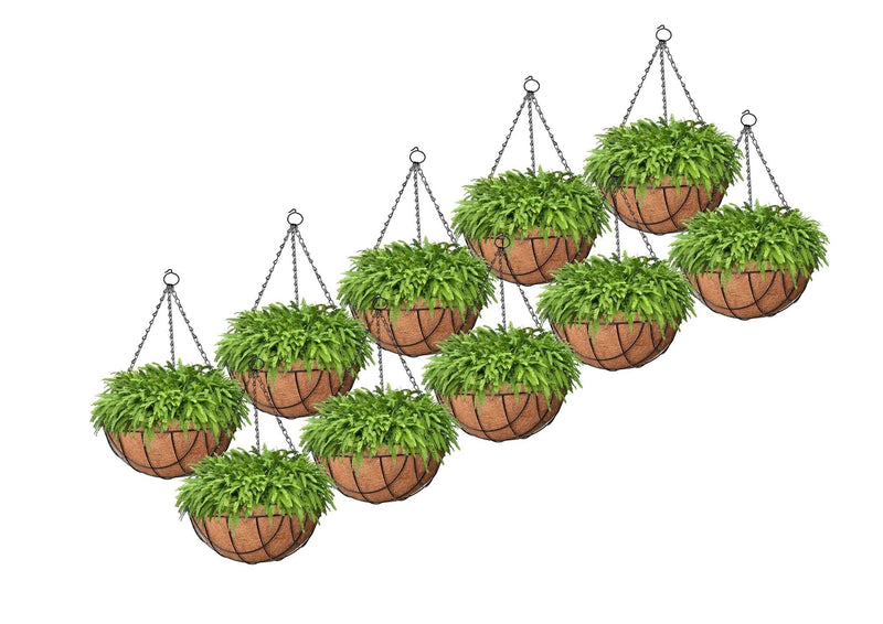 GoHooked 8" brown coir hanging baskets with metal chains, set of 10, filled with lush green ferns.