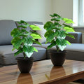 GoHooked artificial Alocasia plant with 12 green patterned leaves in a black pot, realistic polyester decorative indoor plant.