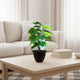 Go Hooked Artificial Alocasia Plant with complimentary Nursery Pot Plant with 12 Green Patterned Leaves, Realistic Polyester Decorative Indoor & Outdoor Plant (Pack of 1)
