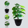 GoHooked artificial Alocasia plant with 12 green patterned polyester leaves in a black pot. Realistic decorative indoor/outdoor plant.