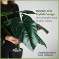 GoHooked artificial Alocasia plant with large green leaves in a speckled pot held by a person in a black shirt