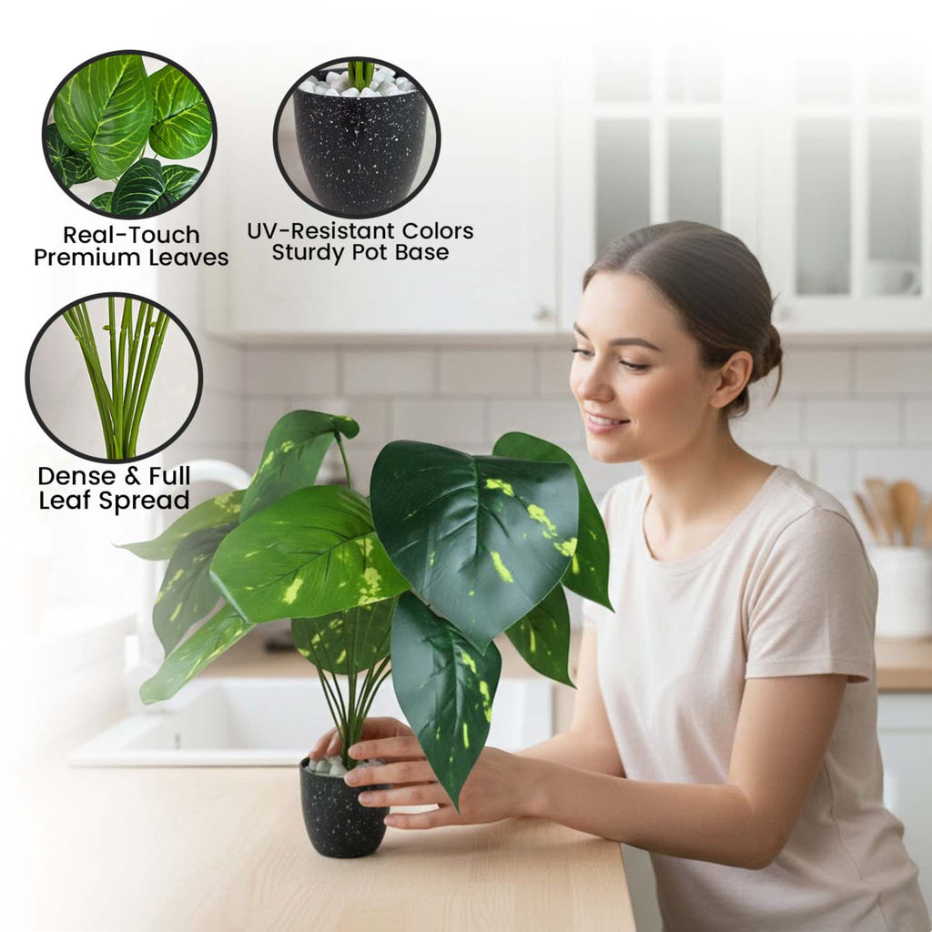 GoHooked artificial green Alocasia plant with patterned leaves in a black pot, displayed by a woman in a kitchen.