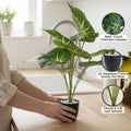 GoHooked artificial Alocasia plant in a black pot with white pebbles, featuring realistic green patterned leaves.