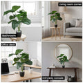 GoHooked artificial Alocasia plant with green leaves in a decorative pot, shown in bathroom, living room, and office.