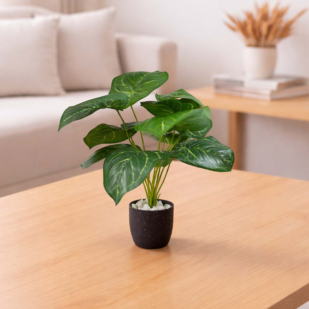 GoHooked artificial Alocasia plant with vibrant green leaves in a small black pot with decorative white pebbles.