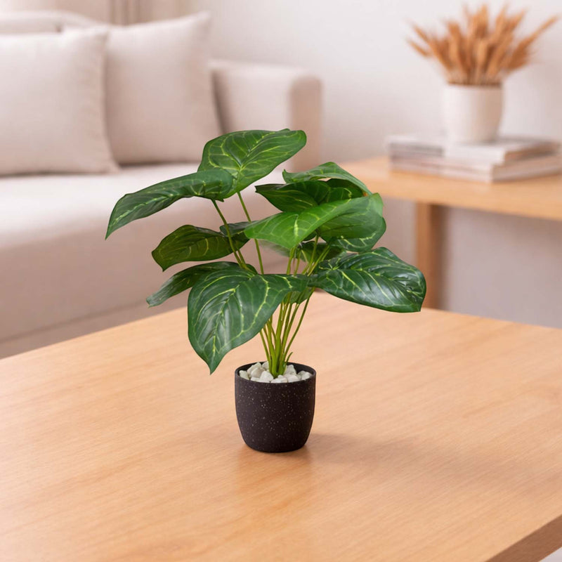 GoHooked artificial Alocasia plant with vibrant green leaves in a small black pot with decorative white pebbles.
