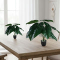 Go Hooked dark green artificial Anthurium plant with 12 leaves in a speckled black pot with white pebbles, perfect for home decor.