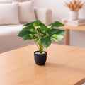 Go Hooked artificial Anthurium plant with 12 green and yellow variegated leaves in a speckled black pot with white pebbles.