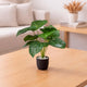 Go Hooked Artificial Indoor Plant with Complimentary Pot and Pebbles | 12 Patterned Leaves, Anthurium Green Plants | Decorative Potted Plant for Home Decor, Living Room & Office Desk (Design 13)
