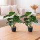 Go Hooked Artificial Indoor Plant with Complimentary Pot and Pebbles Set of 2 | Anthurium Green Plants, 12 Patterned Leaves | Decorative Potted Plant for Home Decor, Living Room & Office Desk