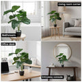 Go Hooked set of 2 artificial Anthurium plants with 12 patterned green leaves each, in speckled pots with white pebbles.
