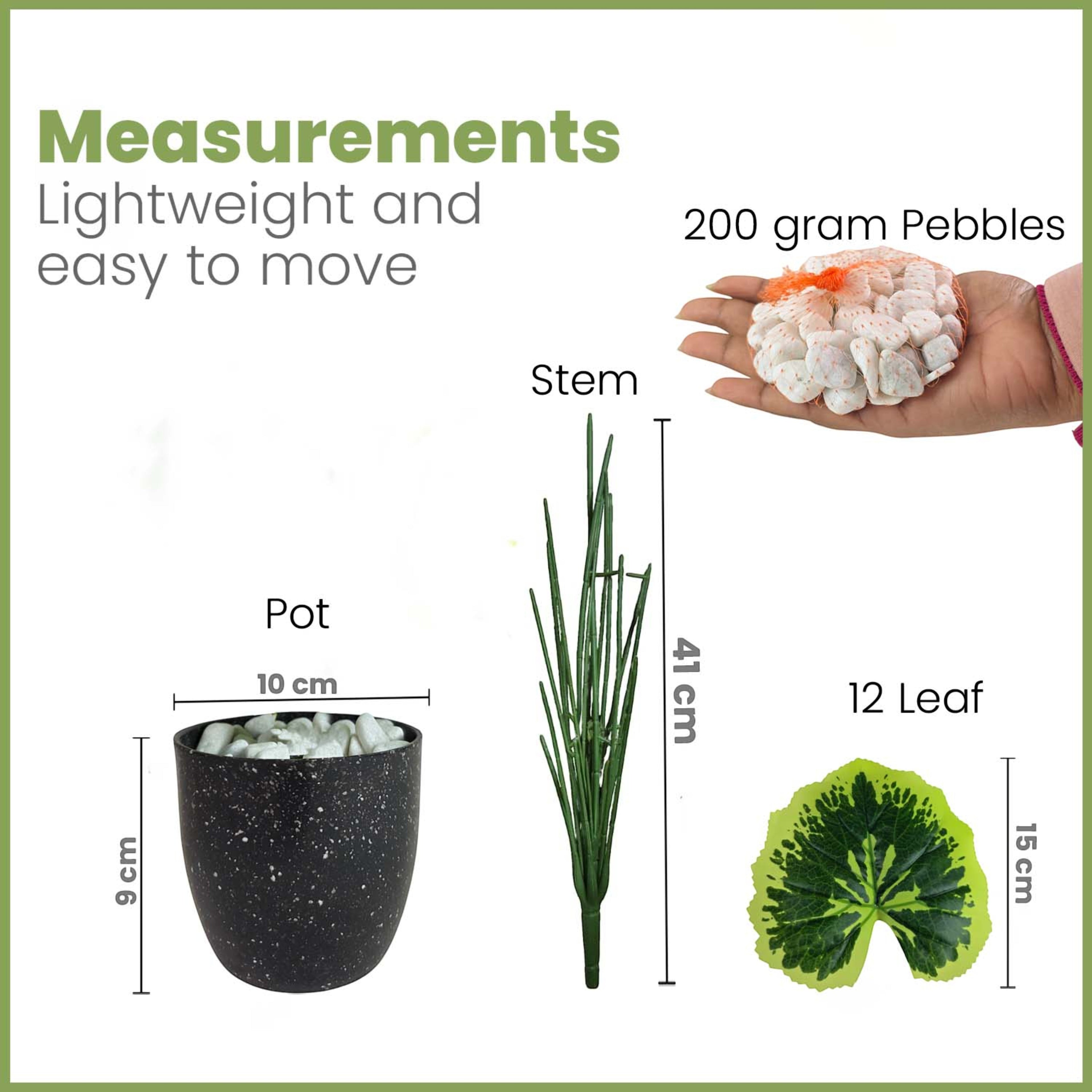 GoHooked artificial Balfour Aralia plant components including a black pot, green stem, 12 leaves, and white pebbles.