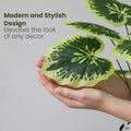 GoHooked artificial Balfour Aralia plant with green and yellow patterned leaves held in hands for scale