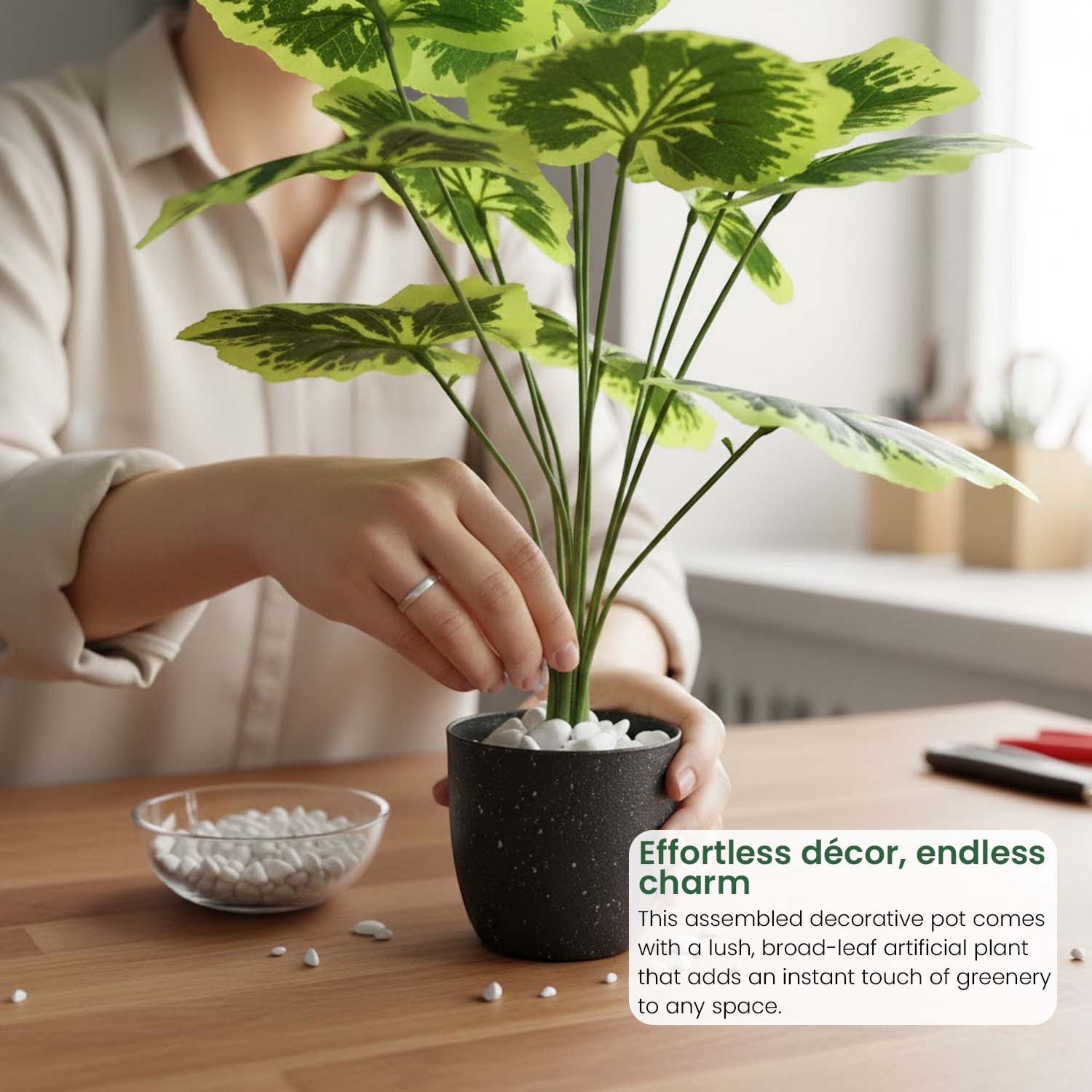 GoHooked artificial Balfour Aralia plant with green patterned leaves in a black pot being styled with white pebbles.