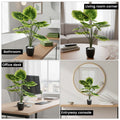 GoHooked artificial Balfour Aralia plant with patterned green leaves in a black pot, displayed in home and office settings.