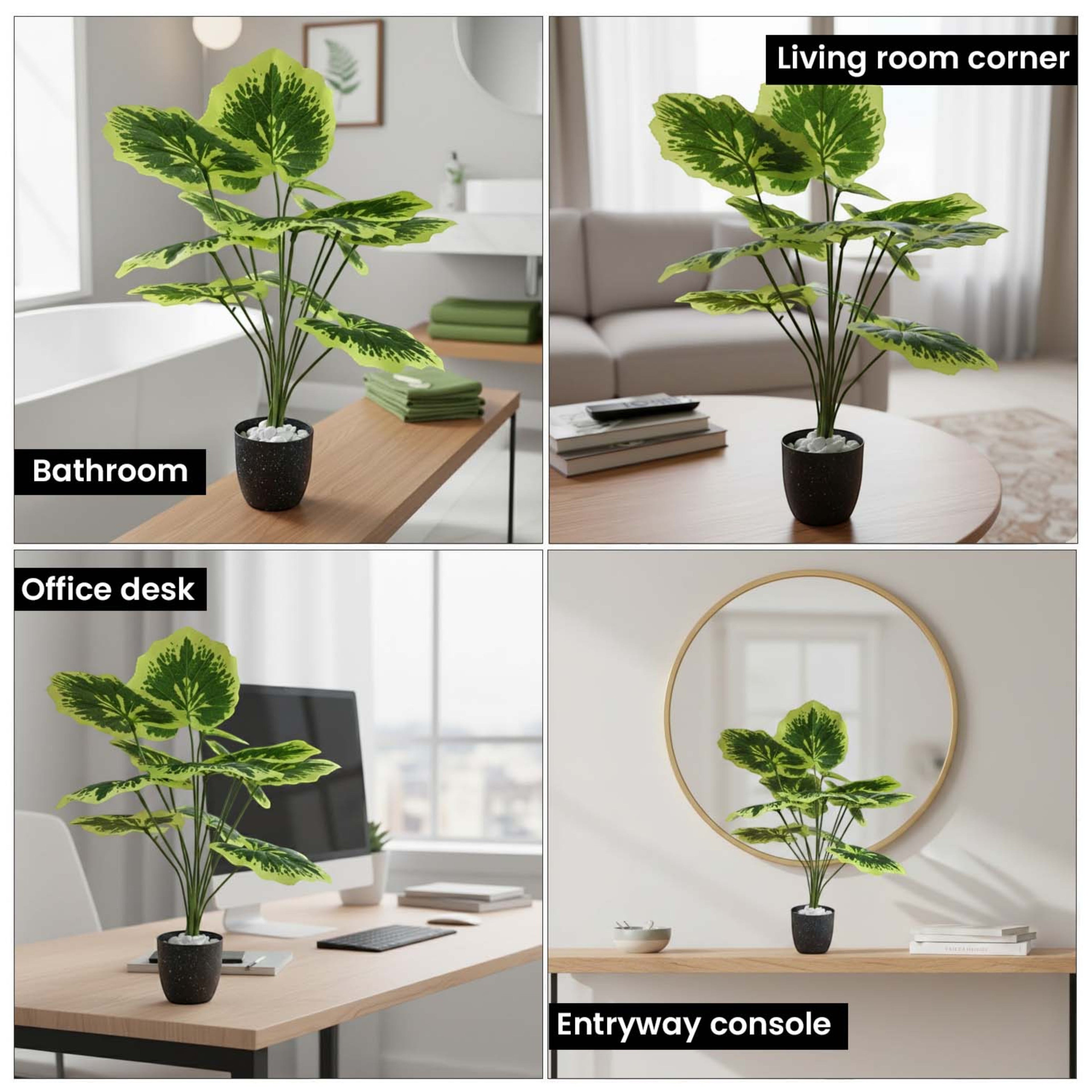 GoHooked artificial Balfour Aralia plant with patterned green leaves in a black pot, displayed in home and office settings.