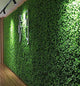 Deehome Artificial Plants Wall Boxwood Hedge Grass Tiles (Set of 8 Tiles) for Roof Decor Ceiling Decor Balcony Decor Wall Decor Greenery Panels Ivy Fence 40cm x 60cm (Pack of 8)
