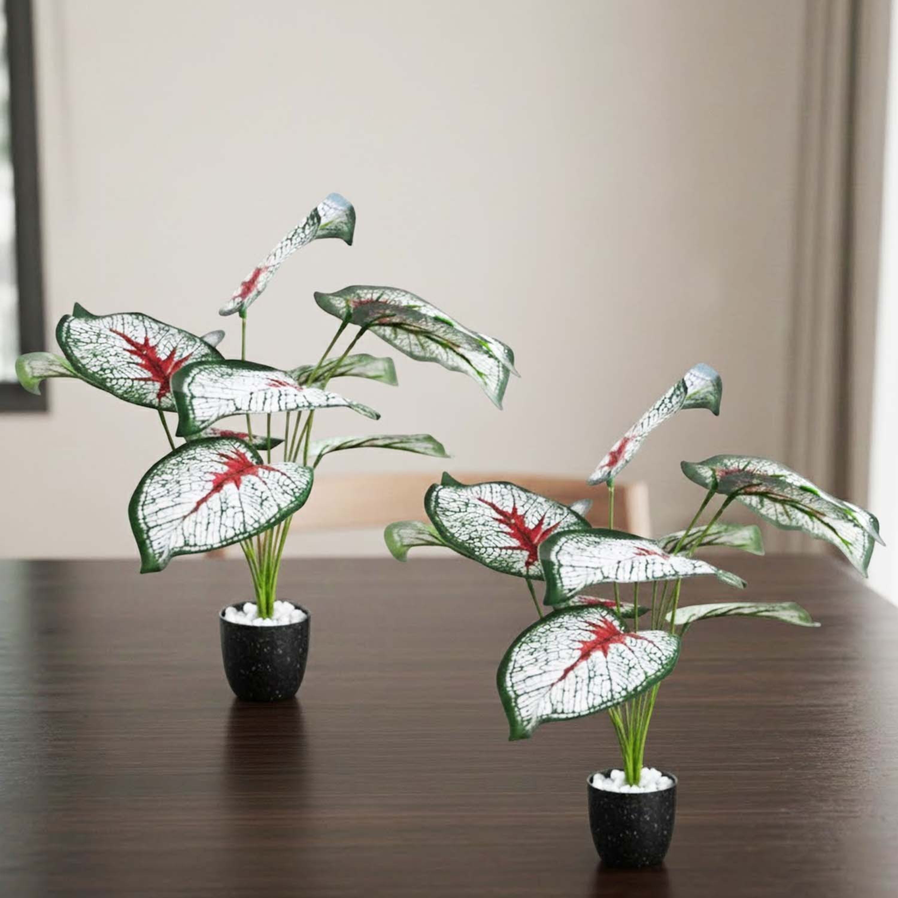 GoHooked artificial Caladium Bicolor plants with patterned green and white leaves in small black pots on a table.