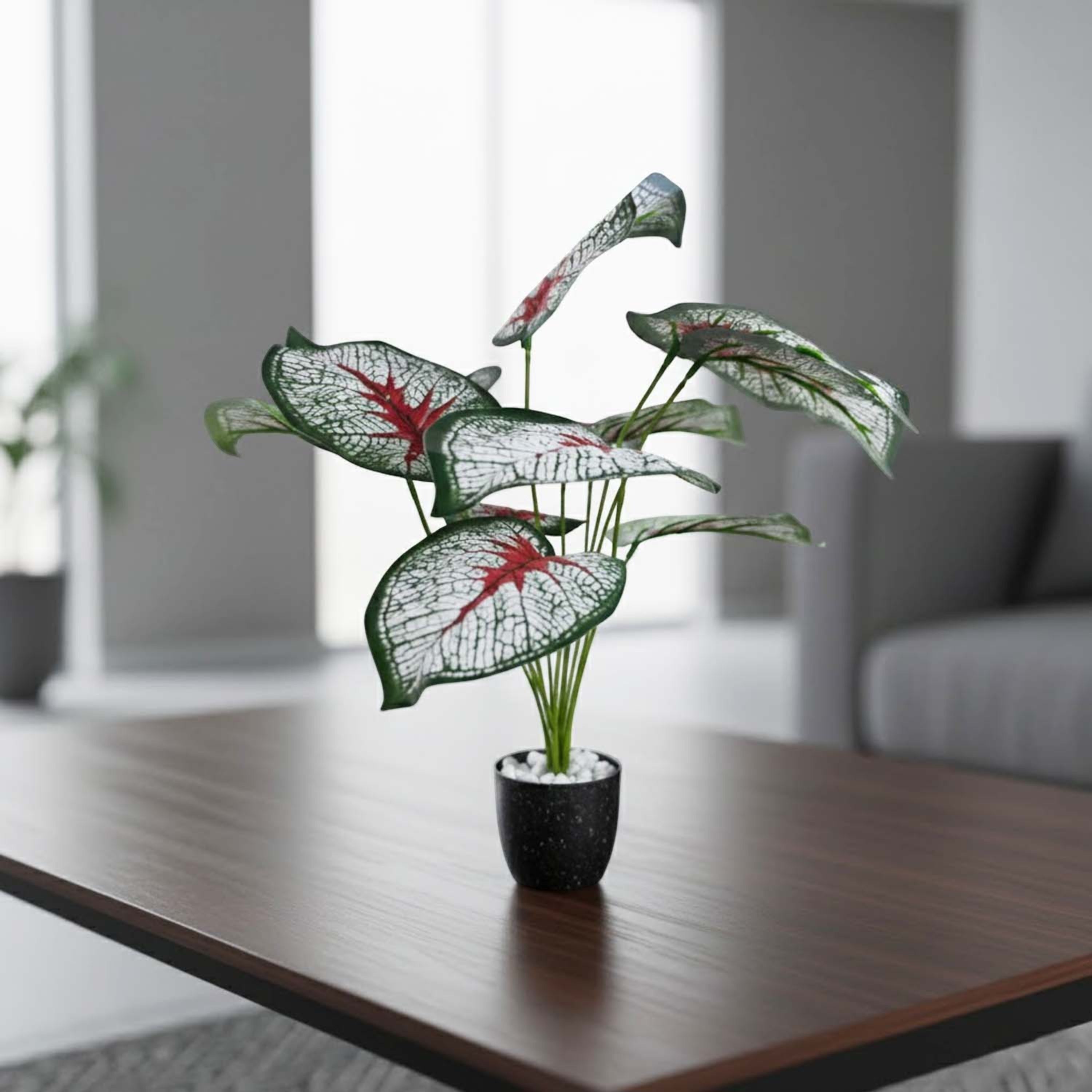 GoHooked artificial Caladium Bicolor plant with patterned green and red leaves in a small black pot on a wooden table.