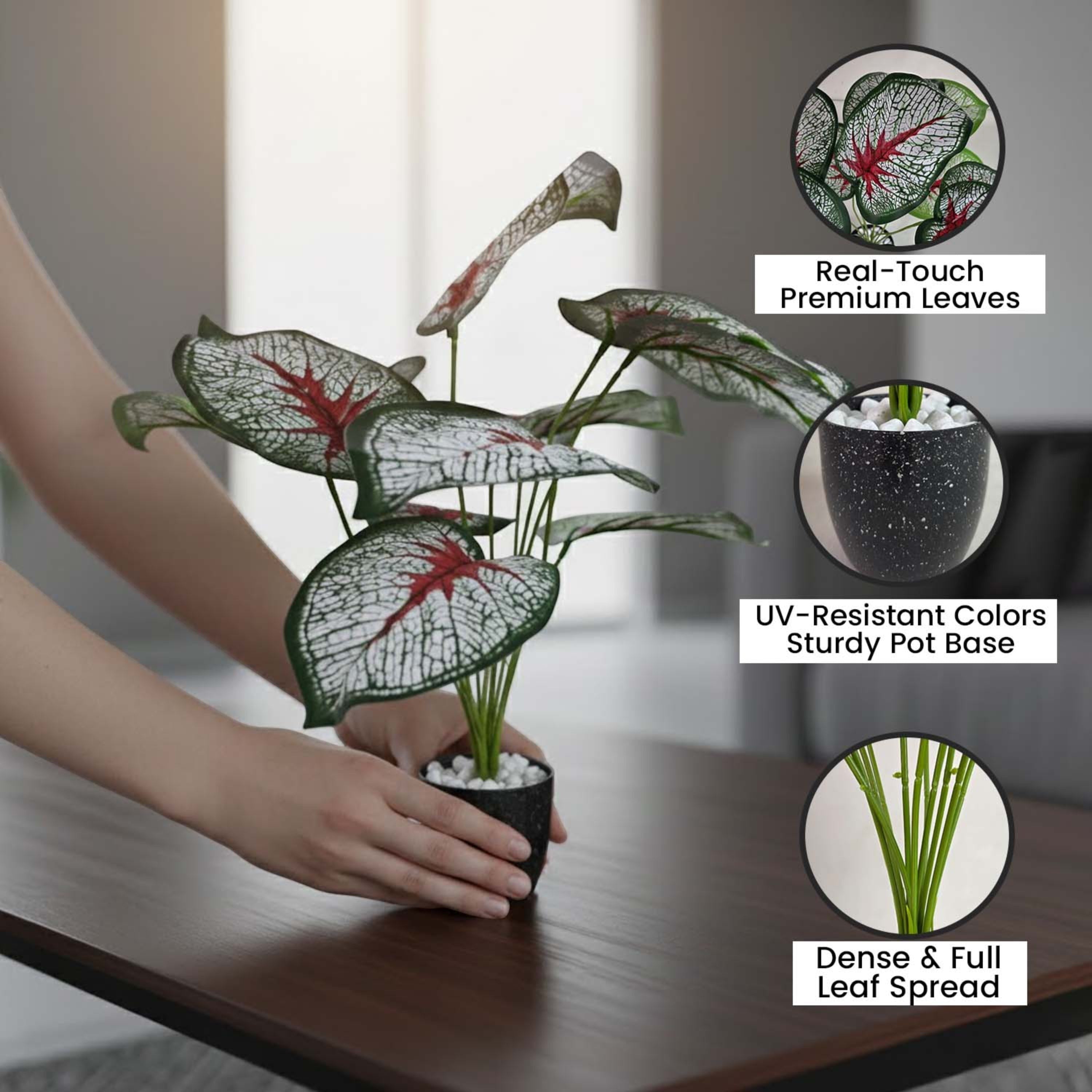 GoHooked artificial Caladium Bicolor plant with patterned green leaves in a black speckled pot on a wooden desk.