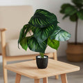 GoHooked artificial Calathea Orbifolia plant with green patterned leaves in a black pot on a wooden side table.