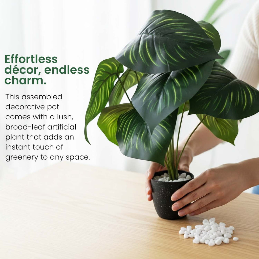 GoHooked artificial Calathea Orbifolia plant with broad green leaves in a black pot with decorative white pebbles