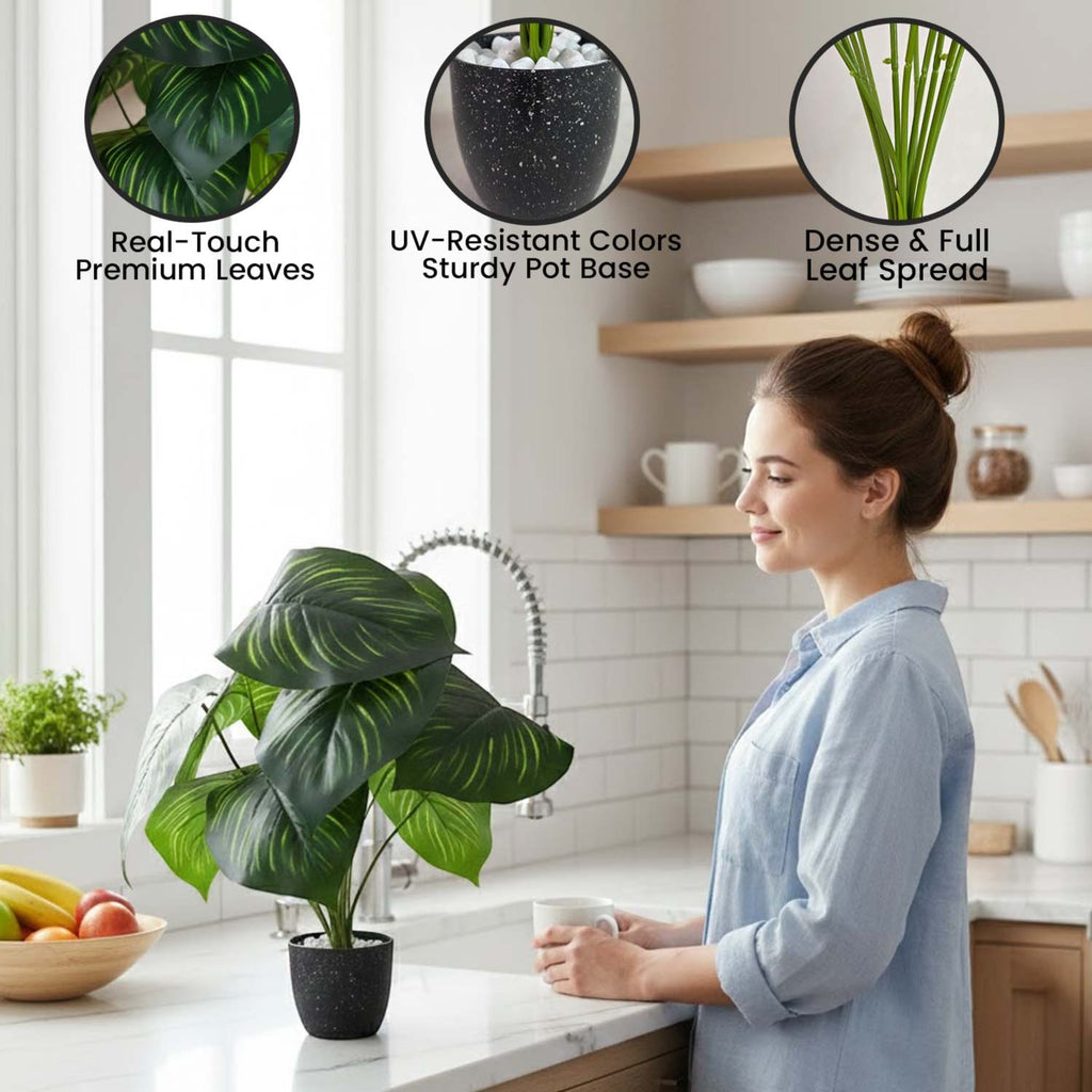 GoHooked artificial Calathea Orbifolia plant with patterned green leaves in a black pot on a kitchen counter.