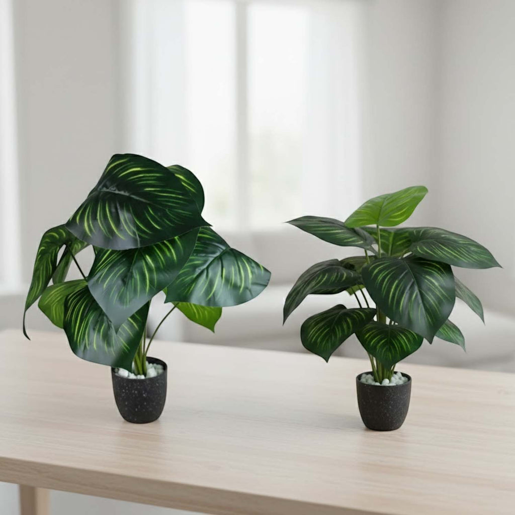 GoHooked artificial Calathea Orbifolia plants in small black pots with decorative white pebbles on a wooden table.