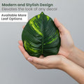 GoHooked artificial Dieffenbachia leaf with realistic green and yellow variegation held in hands
