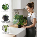 GoHooked Dieffenbachia artificial plant with 12 real-touch leaves in a speckled black pot with white pebbles. Realistic home decor.