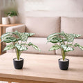 GoHooked artificial Dieffenbachia plant with 12 patterned green and white leaves in a black pot with white pebbles.