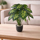 Go Hooked Artificial Indoor Plant with Complimentary Pot and Pebbles | 12 Patterned Leaves, Dieffenbachia Green Plants | Decorative Potted Plant for Home Decor, Living Room & Office Desk (Design 10)