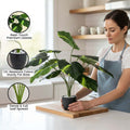 GoHooked artificial Dieffenbachia plant with patterned green leaves in a decorative pot with pebbles for home decor.