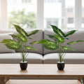 Go Hooked set of 2 artificial Dieffenbachia plants with green and white striped leaves in speckled black pots with white pebbles.