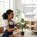 GoHooked artificial Dieffenbachia plant with patterned leaves in a pot being arranged by a woman in a home office.