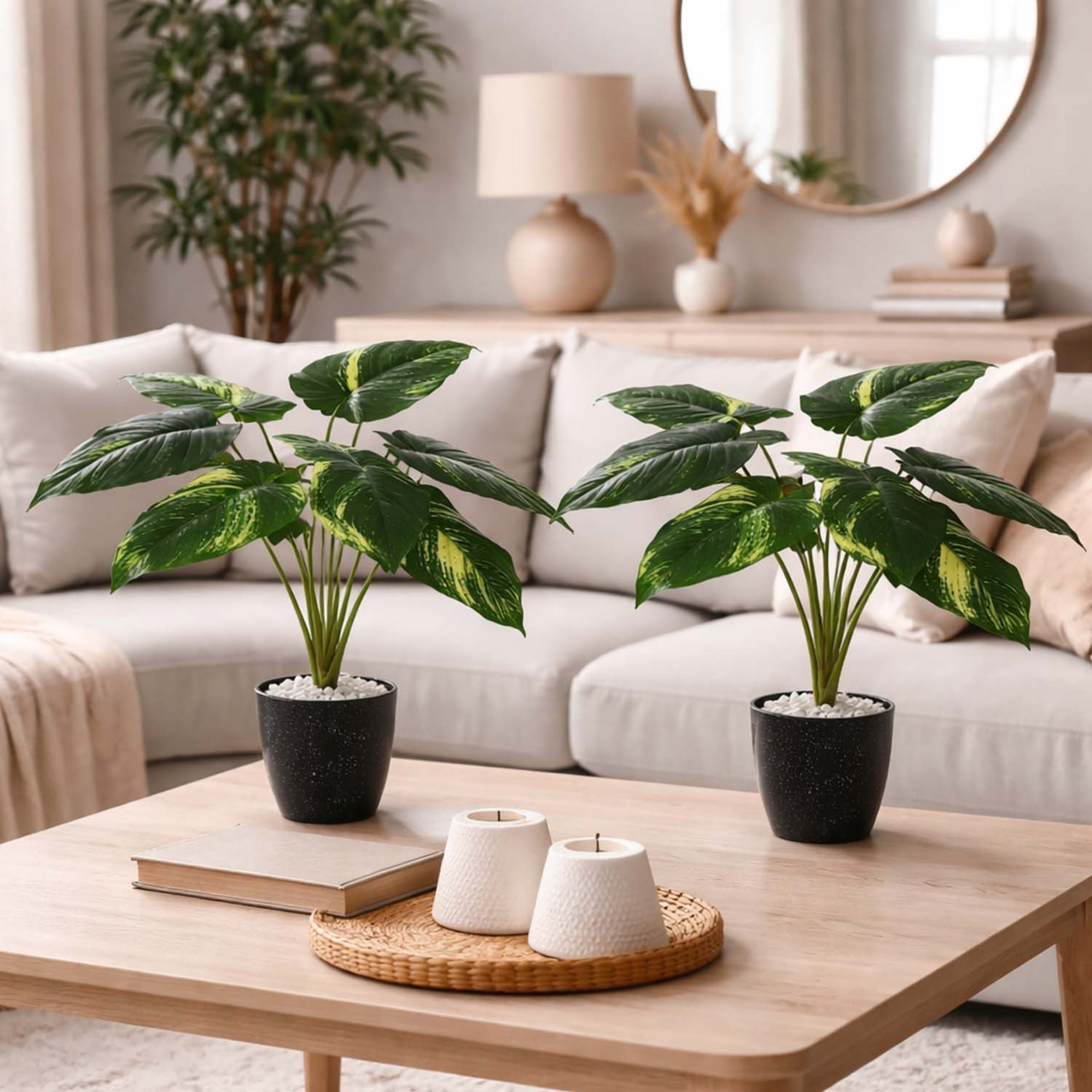 GoHooked artificial Dieffenbachia plants in black pots with white pebbles, displayed on a wooden coffee table.