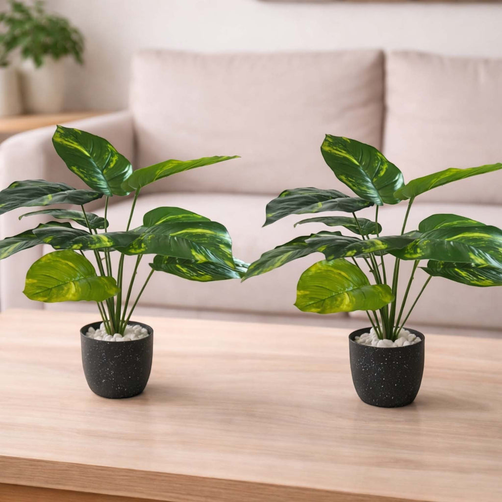 Two GoHooked artificial Dieffenbachia plants in black speckled pots with white pebbles on a wooden table in a living room.