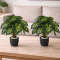 Two GoHooked artificial Dieffenbachia plants with patterned green leaves in black pots on a wooden table.