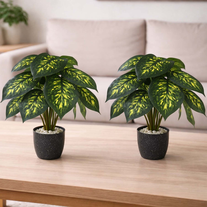 Two GoHooked artificial Dieffenbachia plants with patterned green leaves in black pots on a wooden table.