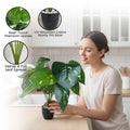 Go Hooked artificial Epipremnum Aureum plant with 12 patterned green leaves in a speckled black pot with white pebbles.