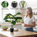 Go Hooked artificial Epipremnum Aureum plant with 12 variegated green leaves in a speckled black pot with white pebbles.
