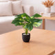 Go Hooked Artificial Indoor Plant with Complimentary Pot and Pebbles | 12 Patterned Leaves, Epipremnum Aureum Green Plants | Decorative Potted Plant for Home Decor, Living Room & Office (Design 14)