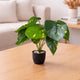 Go Hooked Artificial Indoor Plant with Complimentary Pot and Pebbles | 12 Patterned Leaves, Epipremnum Aureum Green Plants | Decorative Potted Plant for Home Decor, Living Room & Office (Design 15)