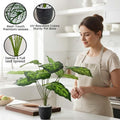 Go Hooked artificial Homalomena Wallisii plant with 12 patterned green leaves in a speckled black pot with white pebbles.