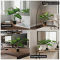 GoHooked artificial Homalomena Wallisii plant with patterned green leaves in a decorative pot for home and office decor.
