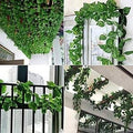 GoHooked pack of 12 artificial hanging ivy garlands, 7.5 ft each, with realistic green maple leaves for home and party decor.