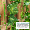 GoHooked artificial ivy creeper garland with realistic green leaves and detailed veins, made of plastic.