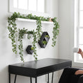 GoHooked Maple Green artificial ivy vines with realistic leaves draped over a white shelf and wall decor.