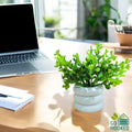 Go Hooked artificial mini plant in a white stacked pot, perfect for office desk decor.
