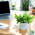GoHooked artificial mini plant in a white stacked pot, perfect for desk decor. Realistic green foliage.